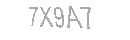 Güvenlik Kodu