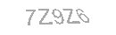 Güvenlik Kodu