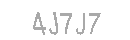 Güvenlik Kodu