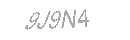 Güvenlik Kodu