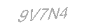 Güvenlik Kodu