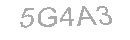 Güvenlik Kodu