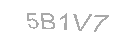 Güvenlik Kodu