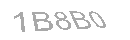Güvenlik Kodu