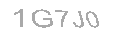 Güvenlik Kodu