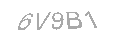 Güvenlik Kodu