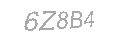 Güvenlik Kodu