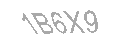 Güvenlik Kodu