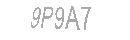 Güvenlik Kodu