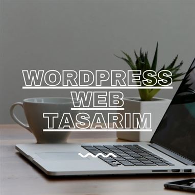 WordPress Web Tasarım