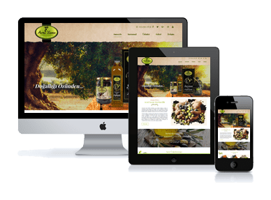 Avni Yavuz Zeytincilik